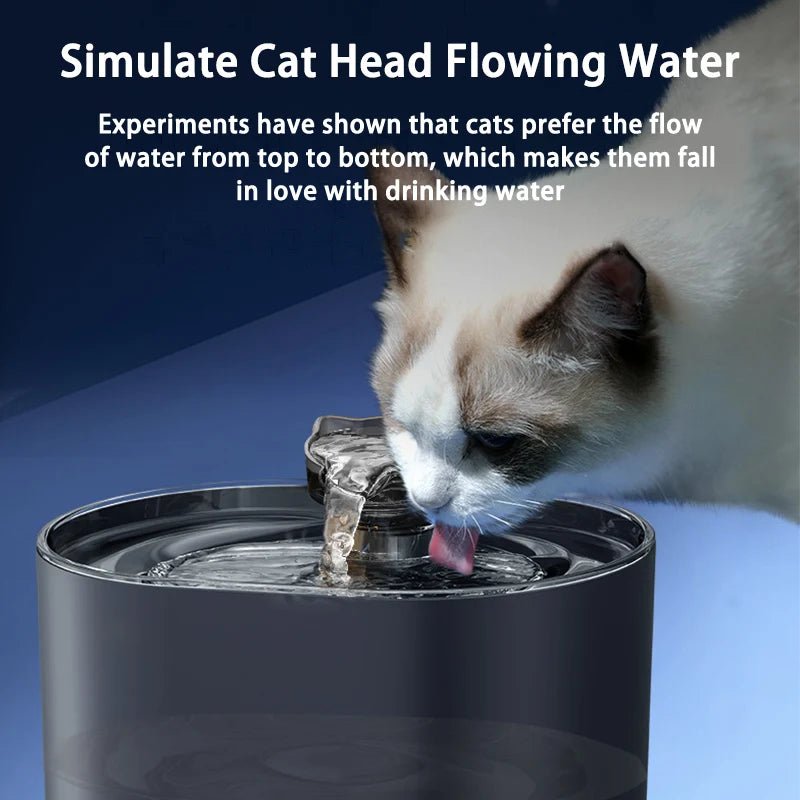 Fontaine à eau automatique PetZen pour chat, avec filtres et pompe à eau électrique USB ultra silencieuse