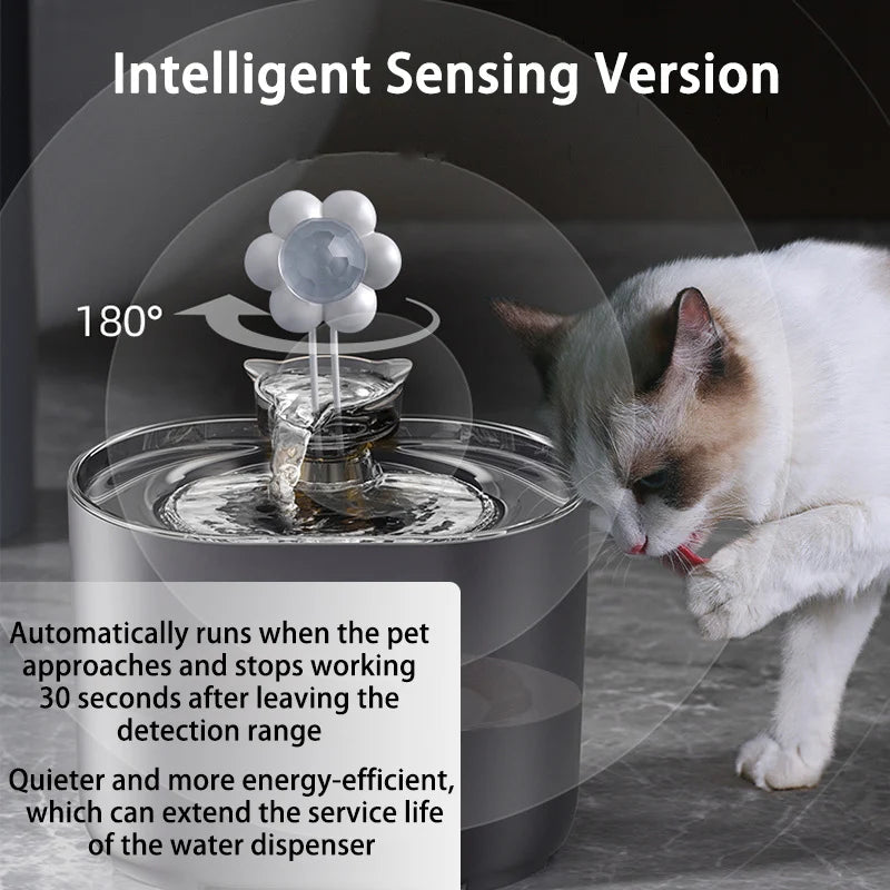 Fontaine à eau automatique PetZen pour chat, avec filtres et pompe à eau électrique USB ultra silencieuse